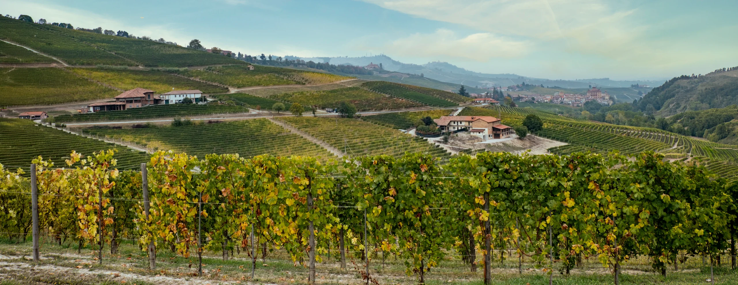 Cantina storica con botti di rovere