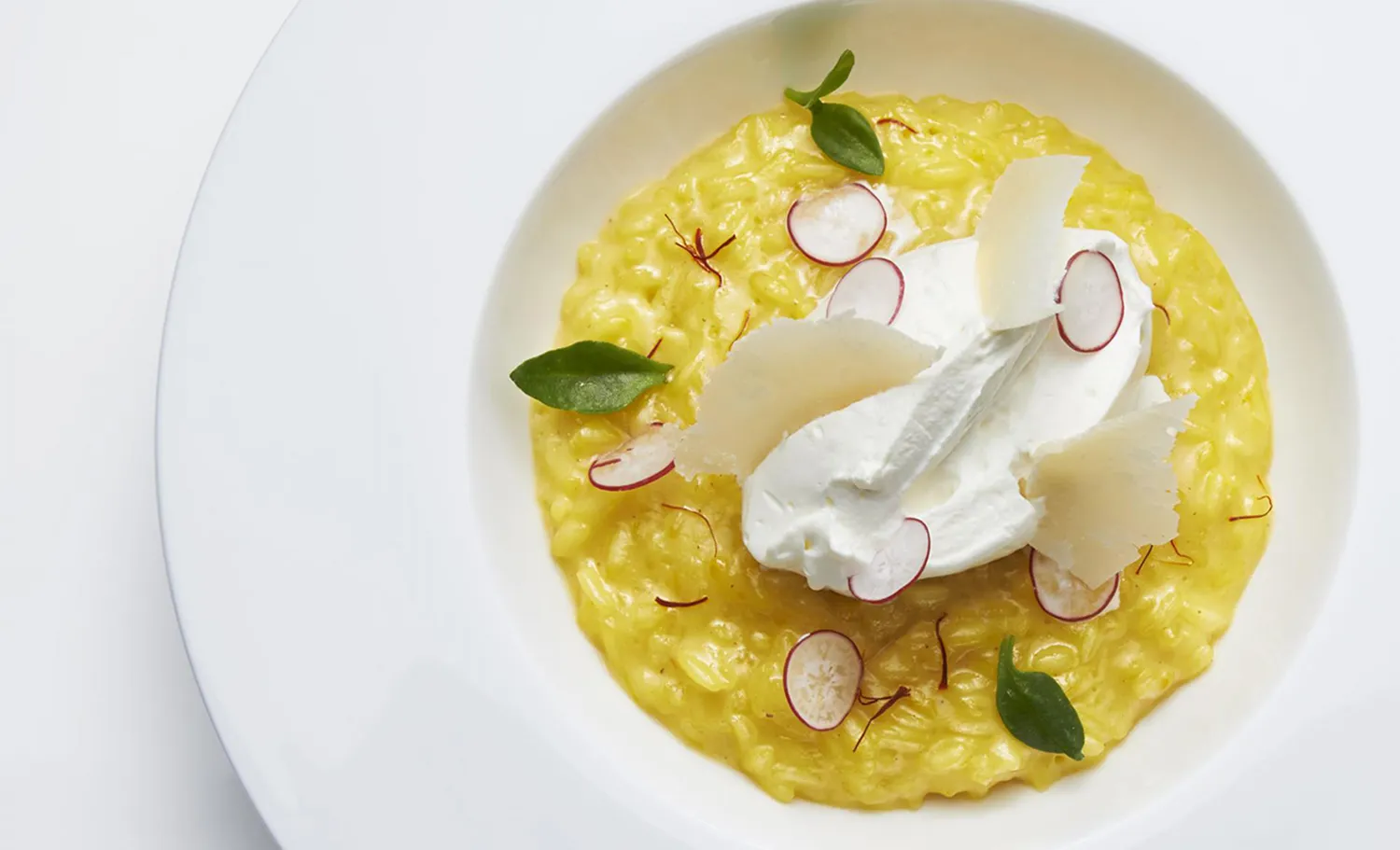 Risotto allo zafferano con ravanello e scaglie di Parmigiano