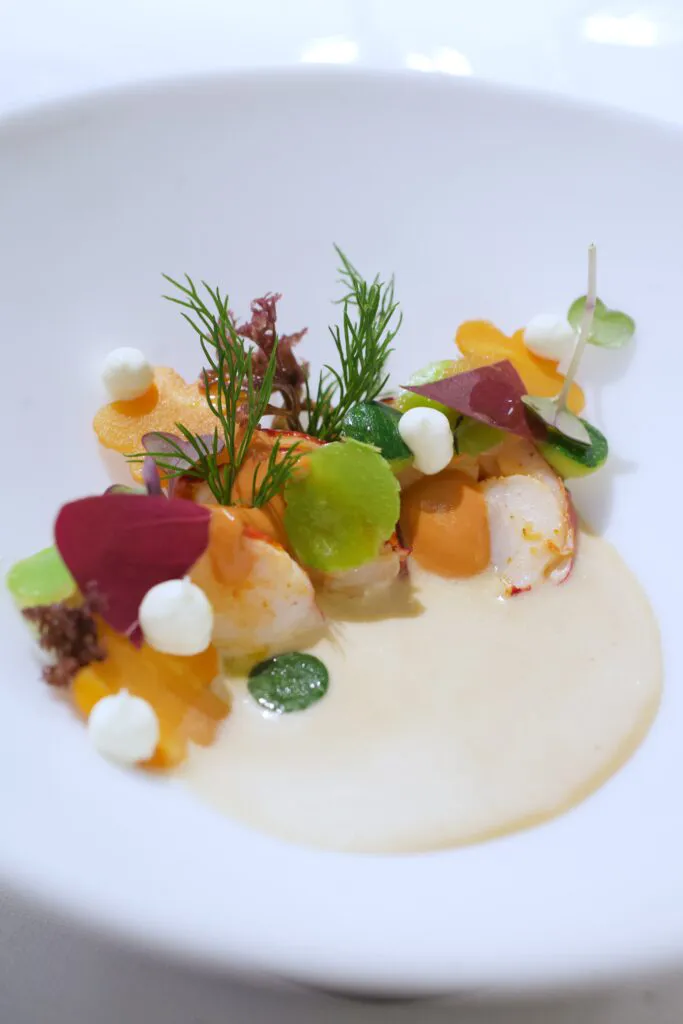 Scampo, giardino di verdure